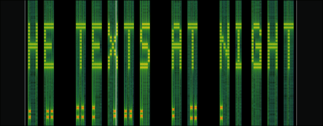 The spectrogram, with big letters at the top and pairs of lines at the bottom