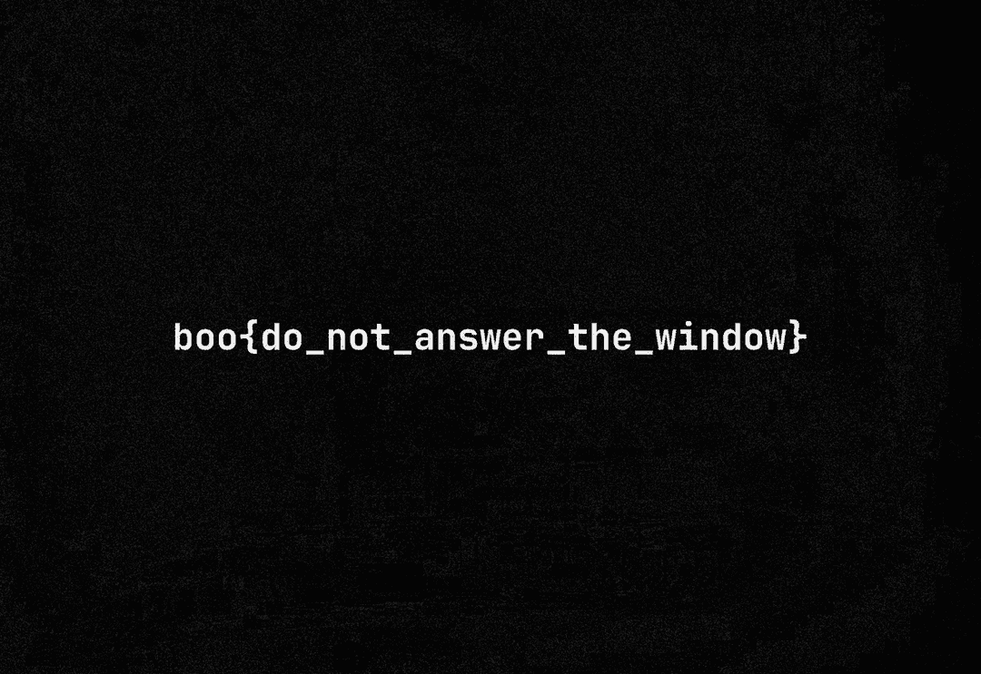 The boosted diff image showing the flag text