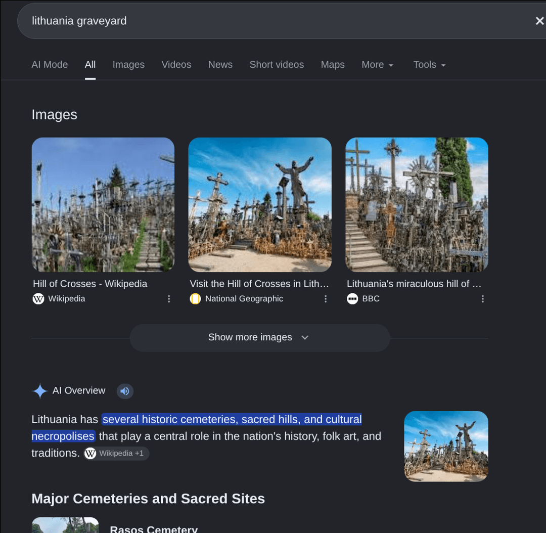 Google results for lithuania graveyard showing the Hill of Crosses